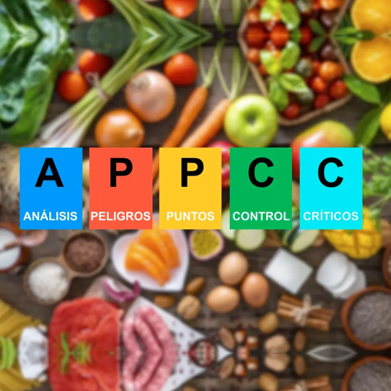 ANÁLISIS DE PELIGROS Y PUNTOS DE CONTROL CRÍTICOS I