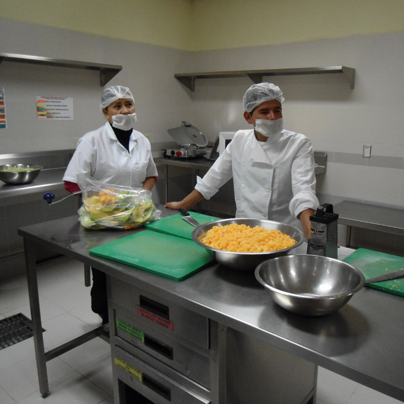 ELABORACION DE DIETAS, MANIPULACIÓN Y SEGURIDAD ALIMENTARIA EN LA COCINA HOSPITALARIA