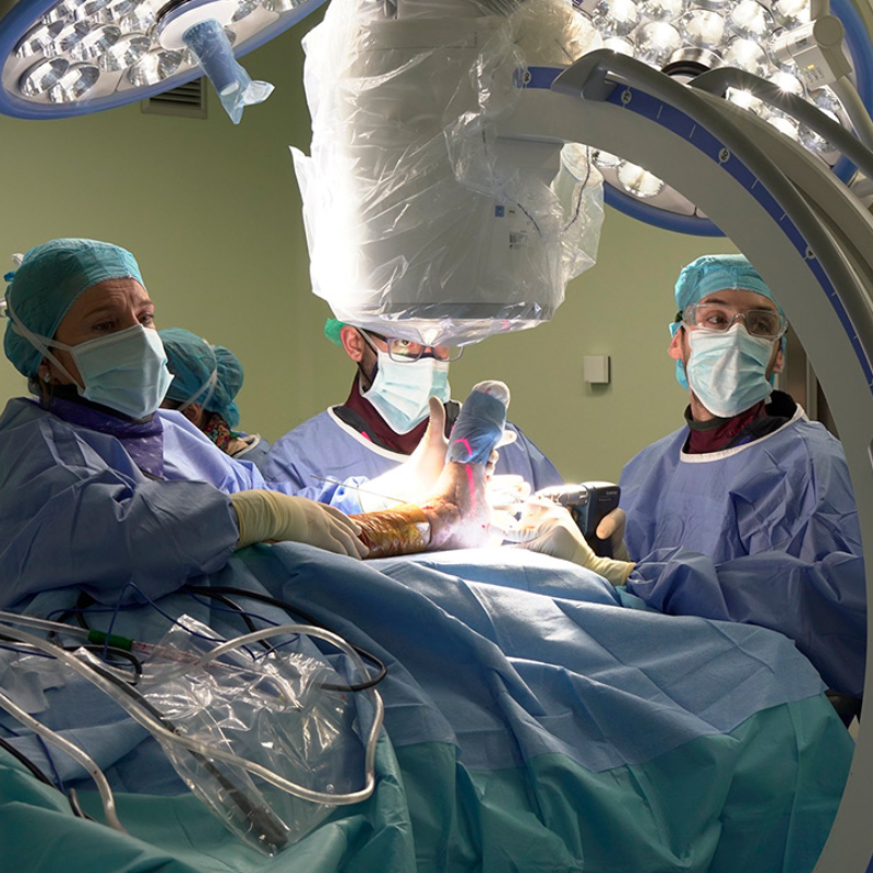 COMPETENCIAS DEL CELADOR EN EL AREA DE URGENCIAS