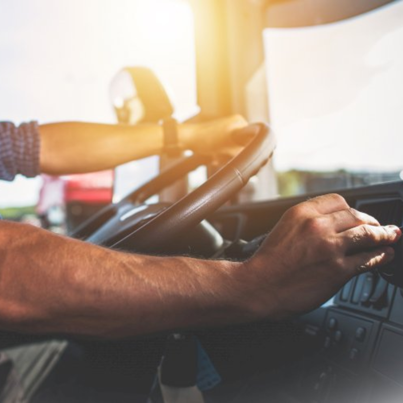 MANUAL DEL CONDUCTOR PROFESIONAL II